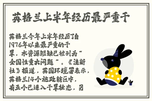 好男人WWW神马社区在线观看